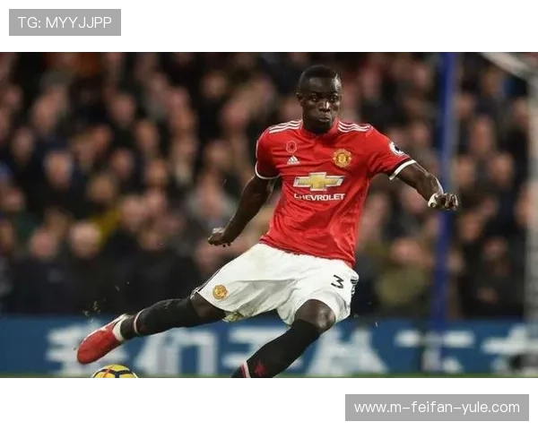 埃弗顿俱乐部历史辉煌与未来发展潜力的深度分析与展望