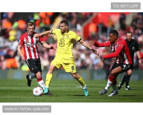 南安普顿足球俱乐部的辉煌历史发展历程与未来重建之路探索
