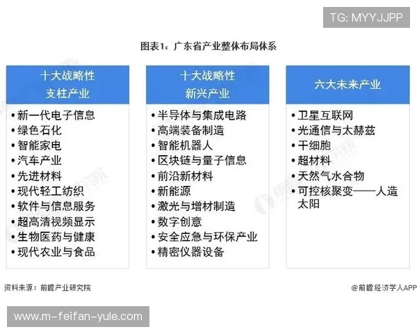 博洛尼亚最新阵容深度解析与赛季战术布局全景展望